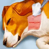 Trò chơi Dog Hospital