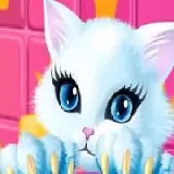 Trò chơi Chăm Sóc Công Chúa Kitty